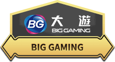 Big Gaming Casino